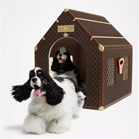 louis vuitton pet nep